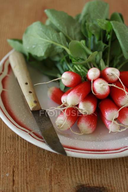 Bunch of Fresh radishes — Stock Photo