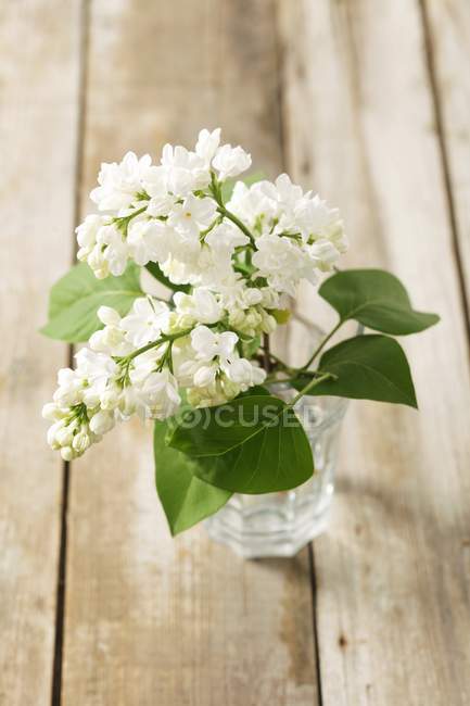 Lilac flowers in a glass of water — Stock Photo