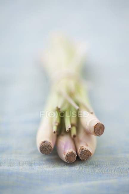Bando fresco de erva-cidreira — Fotografia de Stock