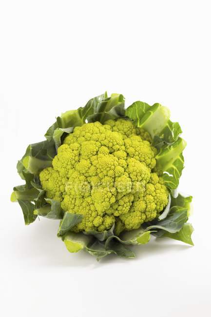 Fersh green cauliflower — Stock Photo