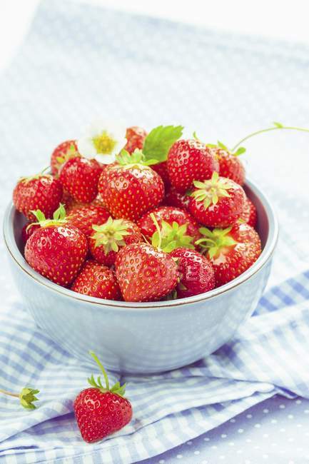 Strawberries in ceramic bowl — Stock Photo