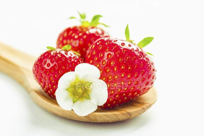 Свіжа полуниця з цвітом — стокове фото