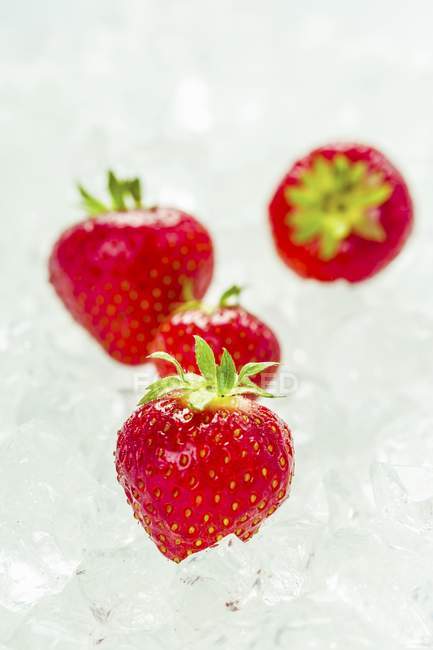 Ripe Strawberries on ice — Stock Photo