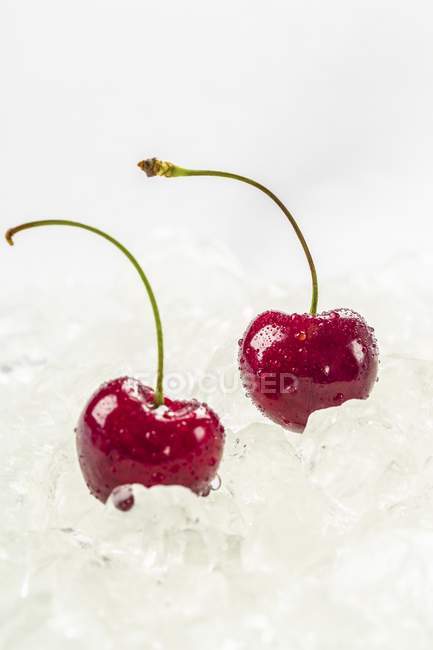 Cerejas em cubos de gelo — Fotografia de Stock