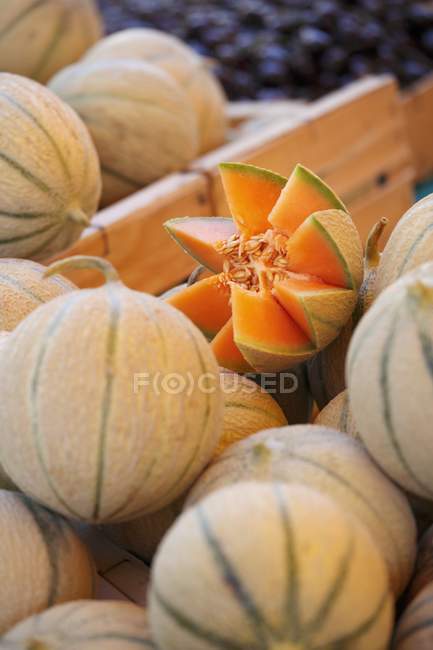 Fresh cantaloupe melons in crates — Stock Photo