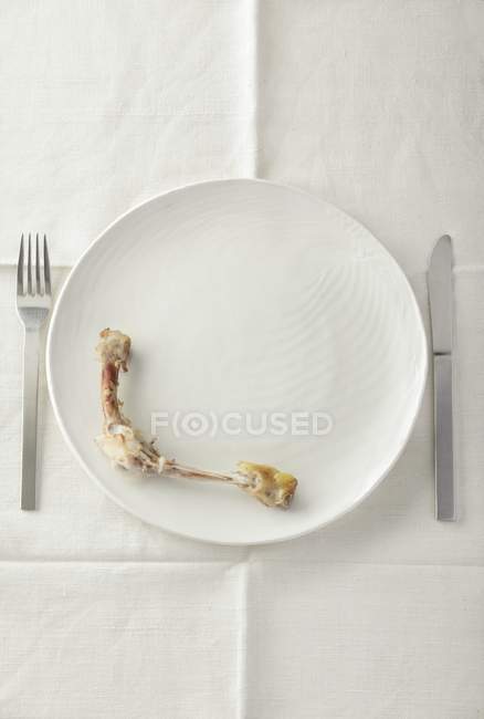 Вид зверху на курячі кістки, залишені на білій тарілці — стокове фото