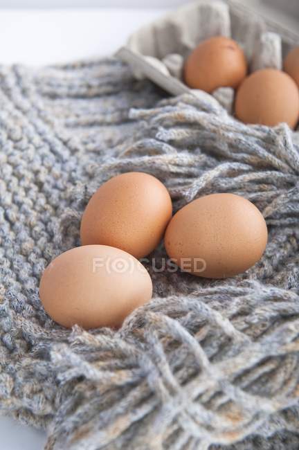 Huevos de pollo marrón - foto de stock