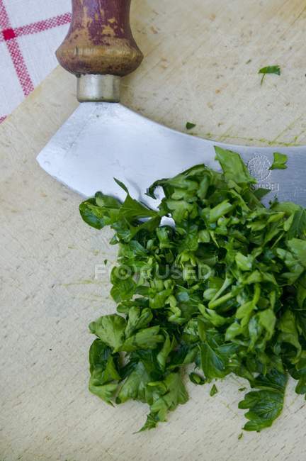 Chopped flat-leaf parsley — Stock Photo