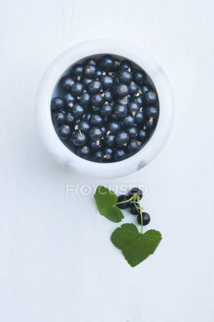 Blackcurrants in marble bowl — Stock Photo