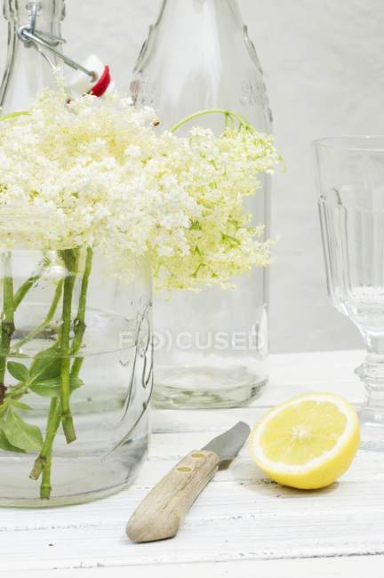 Flores frescas de saúco en jarrón - foto de stock