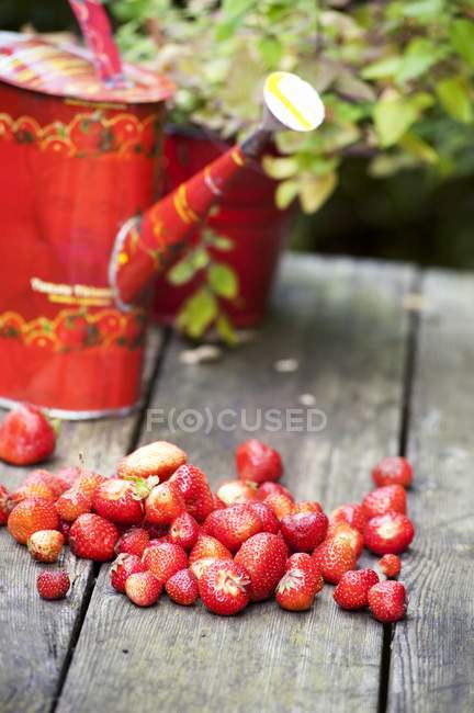 Strawberries and watering can — Stock Photo
