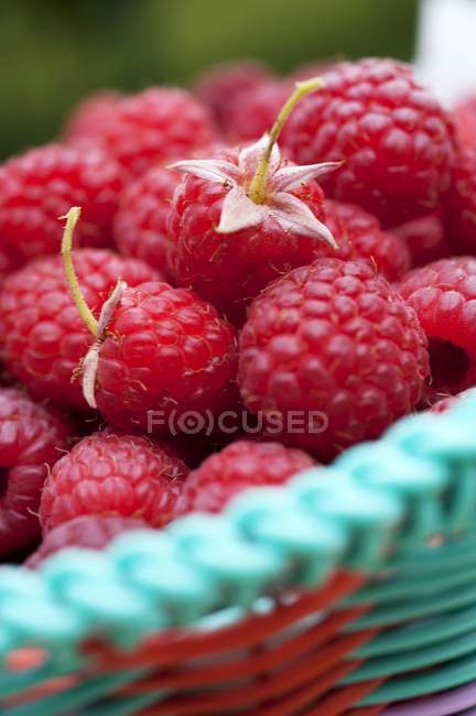 Fresh raspberries in basket — Stock Photo