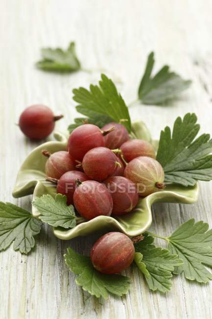 Groseilles à maquereau fraîches avec feuilles — Photo de stock