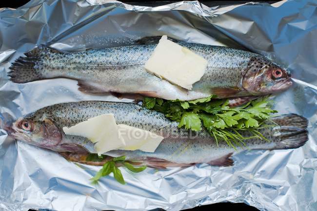 Fresh Trouts with parsley on foil — Stock Photo