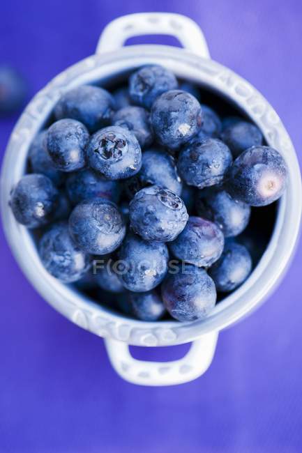 Pot of fresh blueberries — Stock Photo
