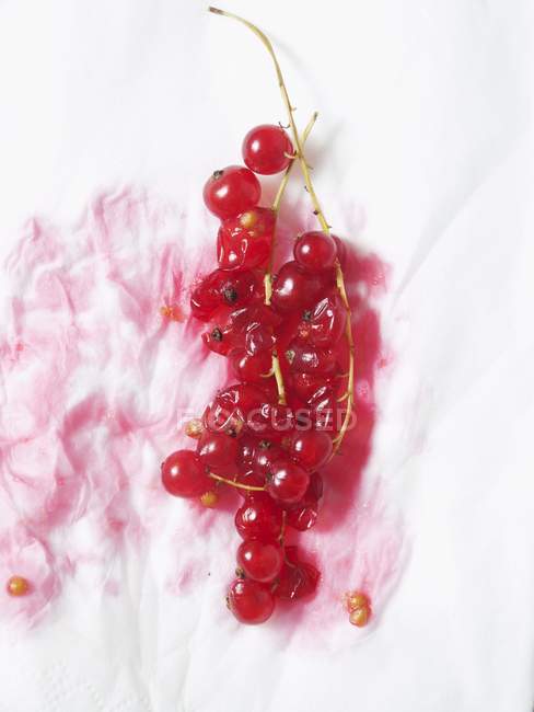 Groseilles rouges avec tige sur tissu — Photo de stock
