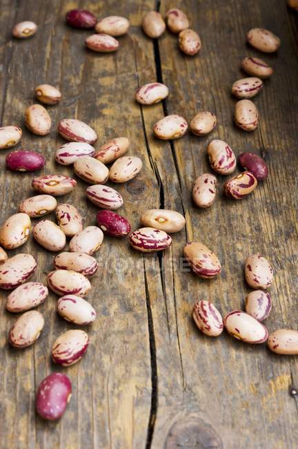 Dried borlotti beans — Stock Photo