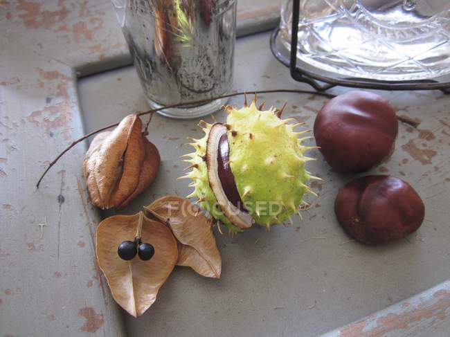 Sweet chestnuts and fruit — Stock Photo