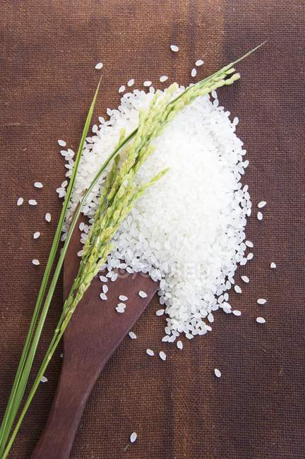 Ears of rice on mound of rice — Stock Photo