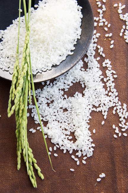 Orecchie di riso su tumulo di riso — Foto stock