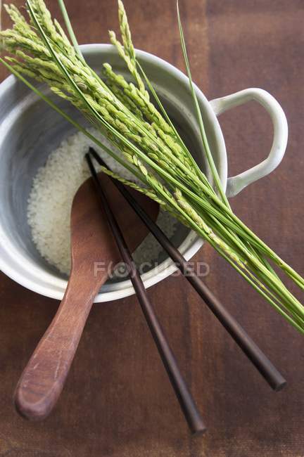 Arroz y espigas de arroz - foto de stock