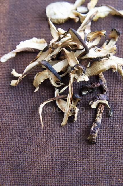 Dried matsutake mushrooms — Stock Photo