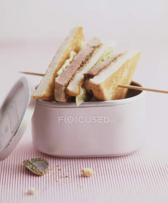 Pastrami-Sandwich im Karton — Stockfoto