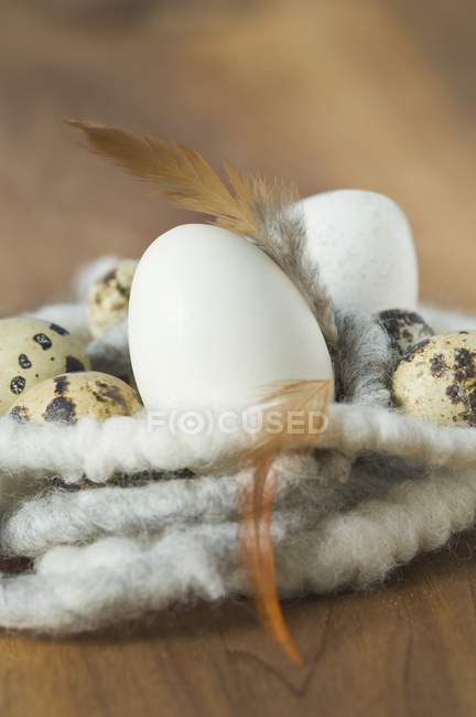 Closeup view of eggs and feathers in an Easter nest — Stock Photo