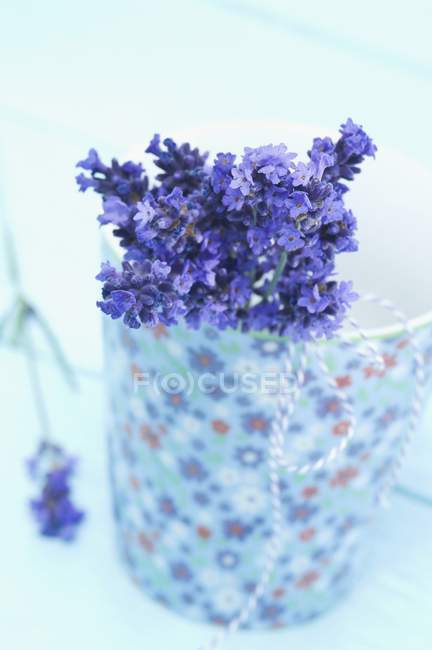 Bouquet de lavande, vue rapprochée — Photo de stock