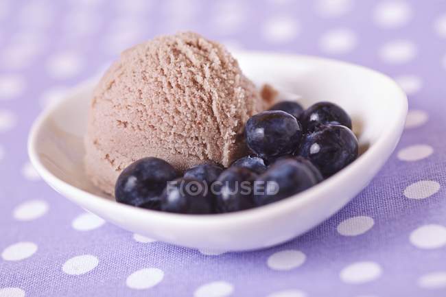 Homemade blueberry ice cream — Stock Photo