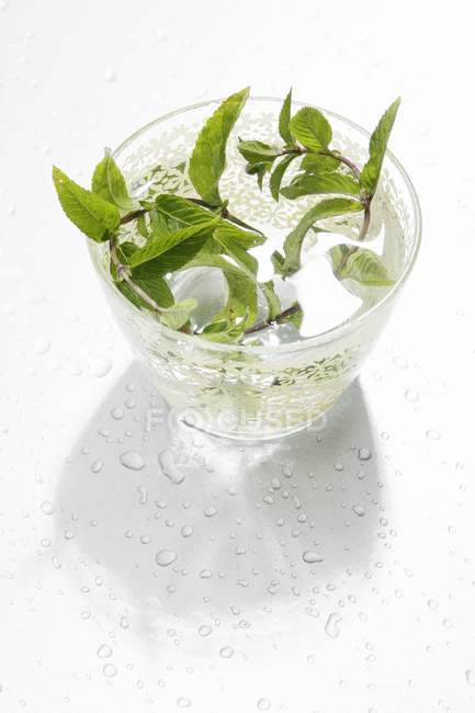 Vidro de água com hortelã fresca — Fotografia de Stock
