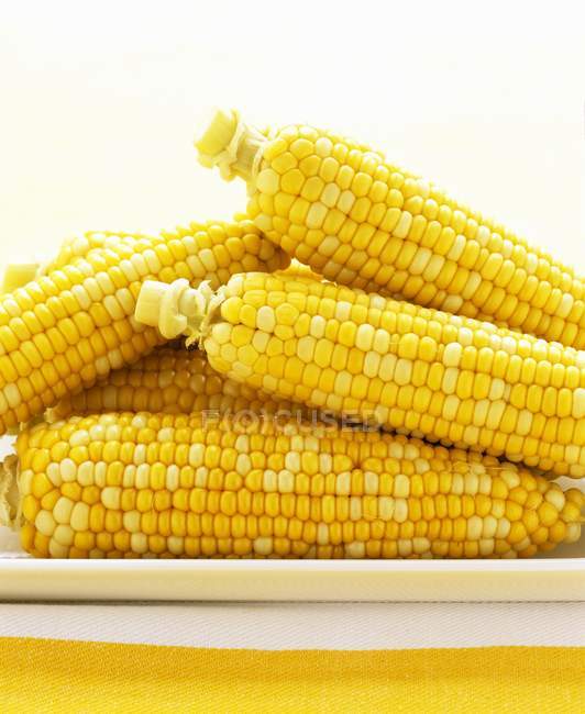 Cooked corn cobs — Stock Photo