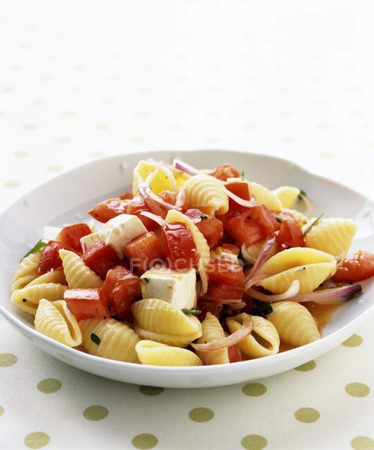 Gusci di pasta con pomodori — Foto stock