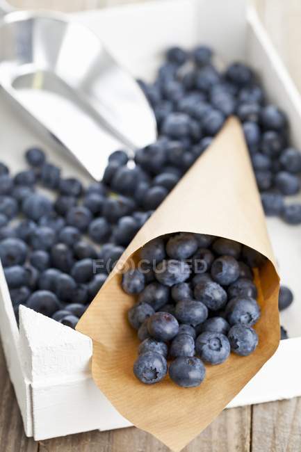 Blueberries in paper cones — Stock Photo