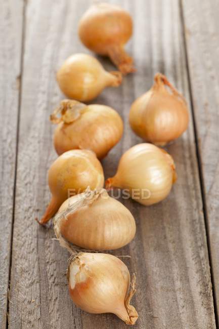 Close up of  Silverskin onions — Stock Photo