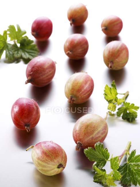 Fresh gooseberries with leaves — Stock Photo
