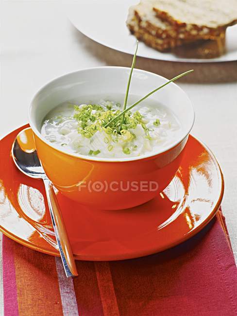 Vegetable soup with chopped chives — Stock Photo