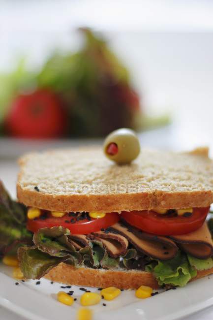 Sandwich gefüllt mit Schinken — Stockfoto