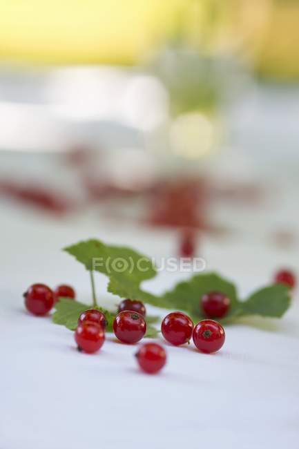 Groseilles rouges fraîches avec feuilles — Photo de stock