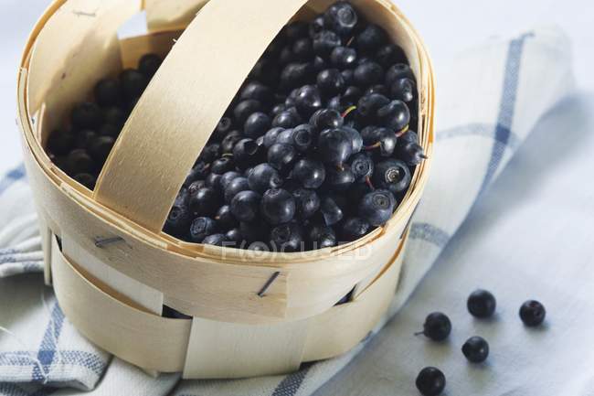 Fresh Bilberries in punnet — Stock Photo