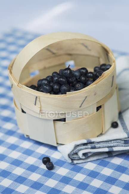 Fresh Bilberries in punnet — Stock Photo