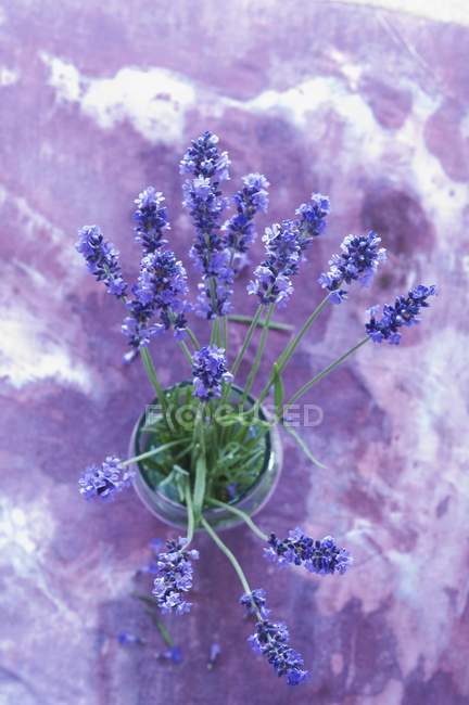 Closeup elevated view of a lavender flowers bunch in a glass — Stock Photo