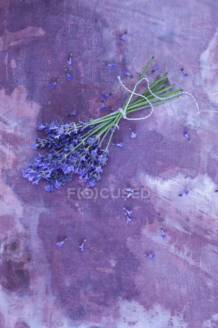 Vue de dessus d'un bouquet de lavande sur une surface violette — Photo de stock