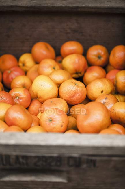 Mandarinas maduras y frescas - foto de stock