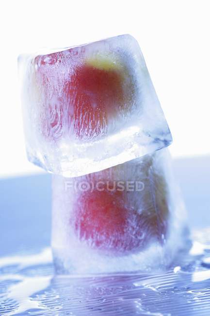 Albaricoques en cubitos de hielo - foto de stock
