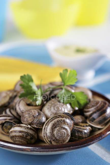 Primo piano vista di lumache mucchio con erba su piatto — Foto stock