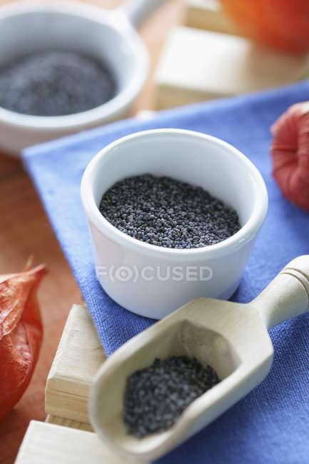 Poppy seeds in boxes — Stock Photo