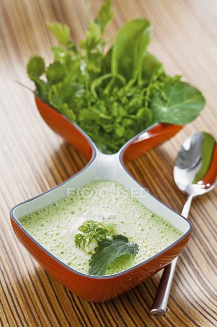 Closeup view of herb soup with nettles, watercress, chervil, sorrel and chickweed — Stock Photo