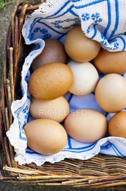 Oeufs de poulet brun dans le panier — Photo de stock