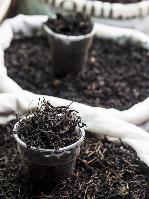 Black tea from Georgian plantation — Stock Photo
